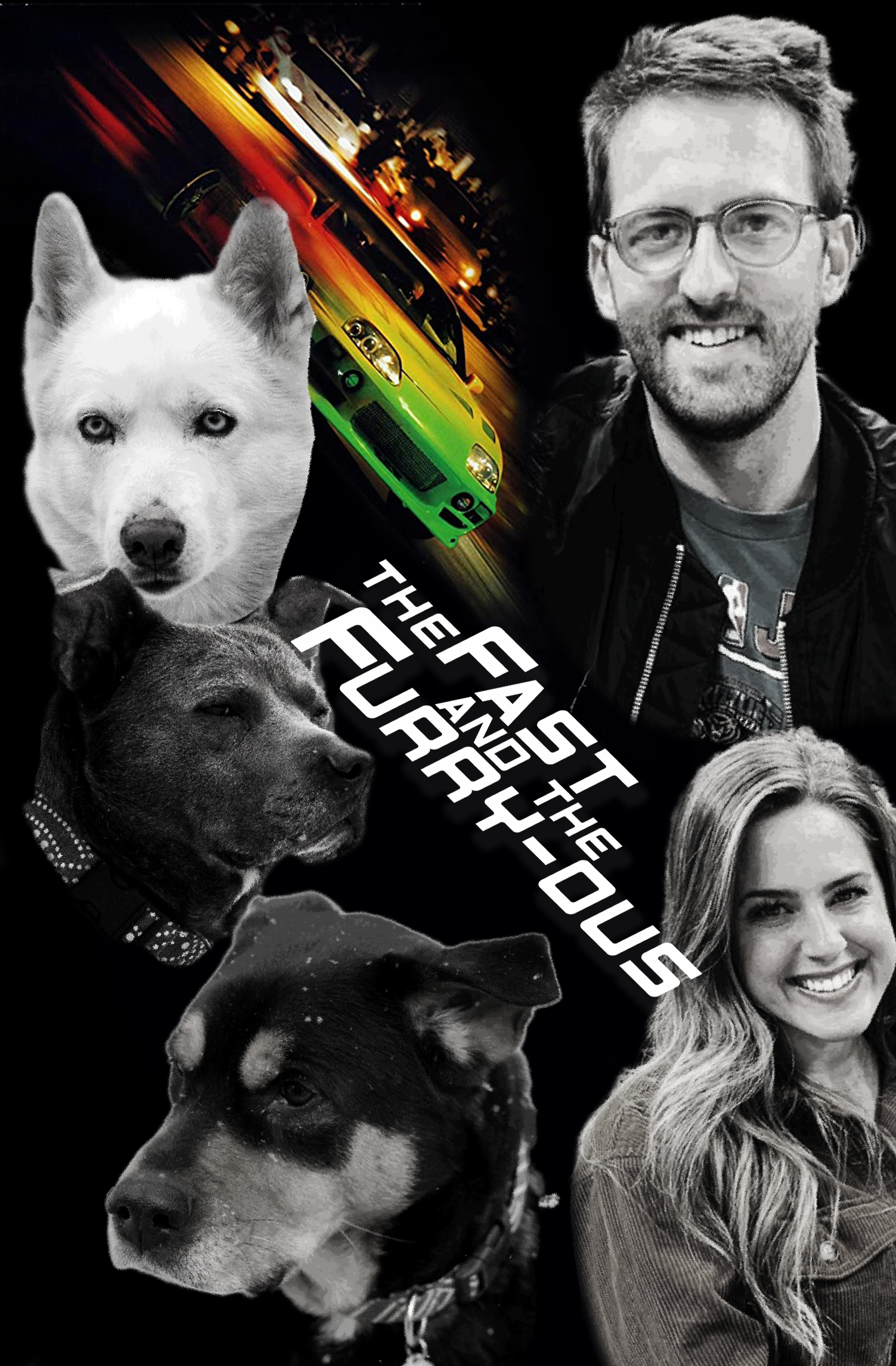 fastandfurryous