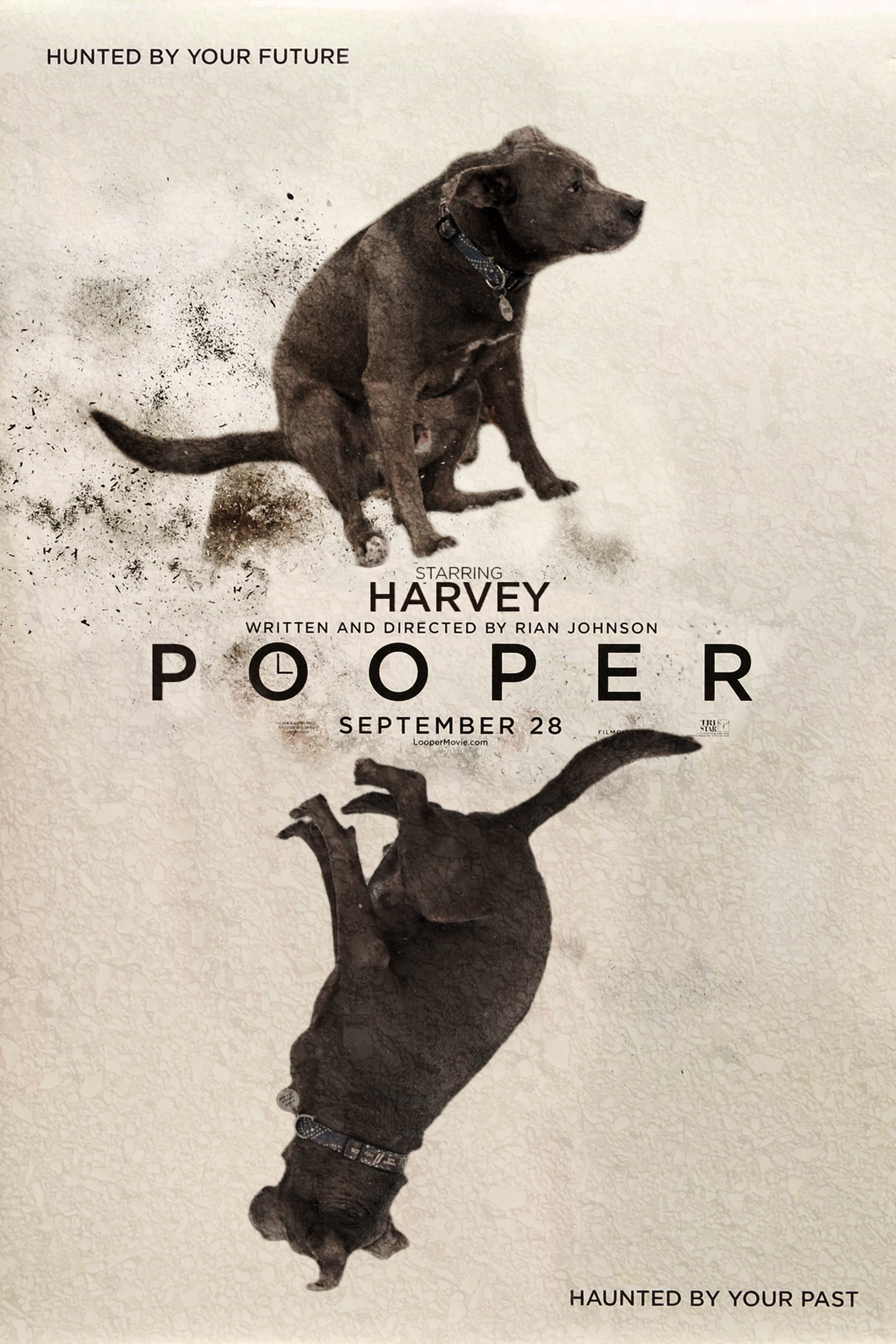 looper
