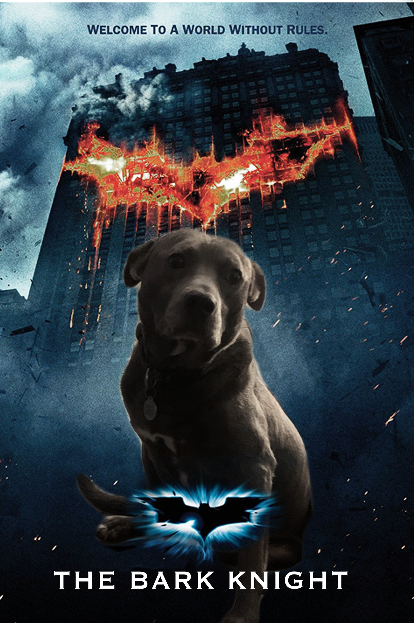 thebarkknight